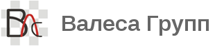 Valesa logo
